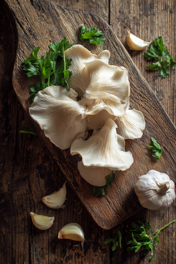 oyster mushroom pasta