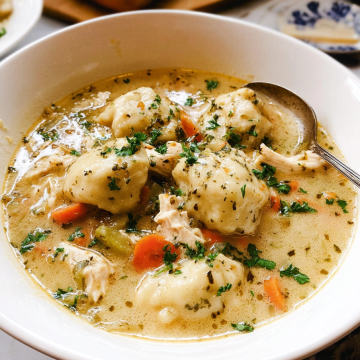 Chicken Dumpling Soup