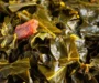 Authentic Southern Collard Greens Recipe (Easy & Savory)