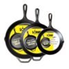 cast iron vs carbon steel