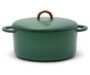 Professional Guide: Great Jones Dutch Oven Review