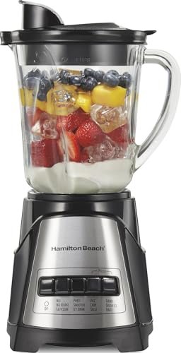 hamilton beach blender review
