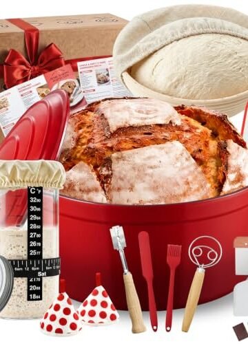 best bread ovens for beginners